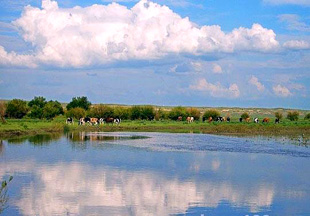 ���պӲ�ԭ������